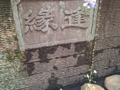 -水乡人家私房菜(逢简店)