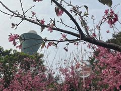 -狐尾山公园