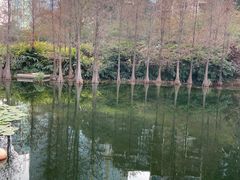 -荔枝公园(福田区)