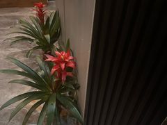 -澜悦汇推拿足道(蓝村路店)