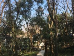 -凤凰御元艺术基地