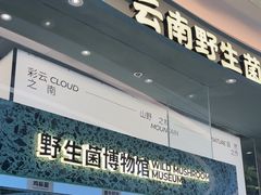 -芸山季·云南山珍菌火锅(南翔印象城MEGA店)