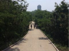 -山东大学(威海校区)