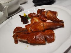 -广东道至正餐厅(区庄店)