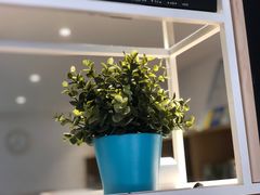 -鲜芋仙(中山路店)