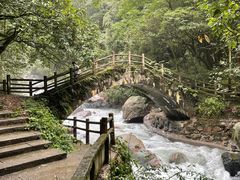 -西岭雪山大飞水景区