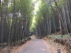 -苏州环秀晓筑养生度假村
