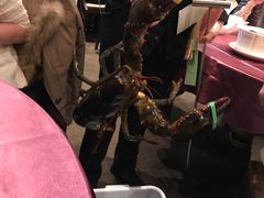 -鱼乐轩海鲜专门店