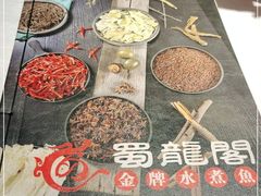 -雲蜀龙阁·金牌水煮鱼(方庄店)