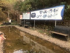 -遂昌金矿国家矿山公园