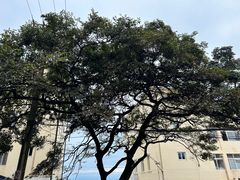-青岛海滨风景区