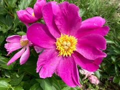 景点-长春公园(普阳街道)