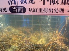 -雍容荟帝王蟹活龙虾展台自助(IFS黑金店)