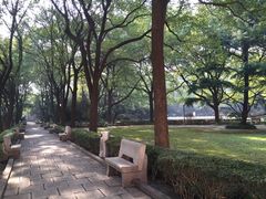 -上海交通大学医学院附属瑞金医院(总院)