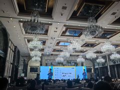 -上海闵行星河湾酒店