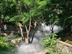 -北京西山国家森林公园