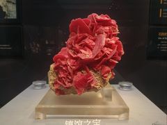 -湖南省地质博物馆