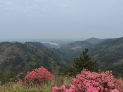 -木兰云雾山