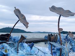 -水上明月·湖景餐厅