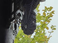 -蜀南竹海景区