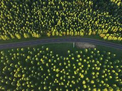 -塞罕坝国家级自然保护区