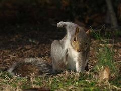 -包装马车·韩国料理·포장마차