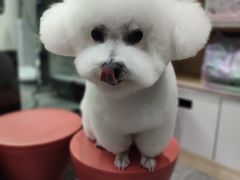 -宠物家(大兴旧宫店)