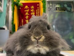 -雨林宠物医院 非犬猫异宠专科