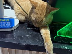 -玄武打边炉(九亭店)