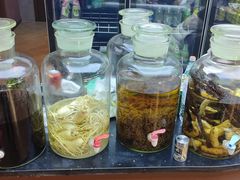 -巧婆婆特色东北菜·铁锅炖