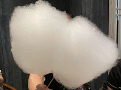 蒲公英糖葫芦-小大董·烤鸭(王府井apm店)