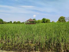 -梁鸿国家湿地公园