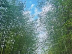 -大本营竹筒饭