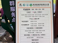 -西双版纳原始森林公园