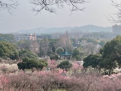 -无锡梅园公园