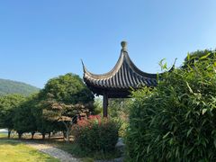 -龙寺生态园