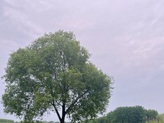-滨湖塘西河公园