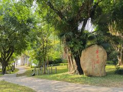 -深圳国际园林花卉博览园