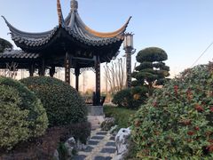 -上海皇廷花园酒店·西餐厅·自助餐