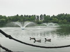 -上海怡沁园度假酒店