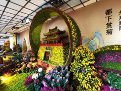 -杭州植物园