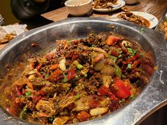 -老号尤兔头(幸福店)