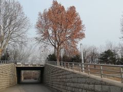 -亦庄创意生活广场