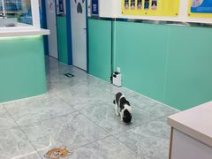 -全心全意连锁动物医院(石景山店)