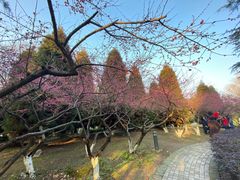 -白塘生态植物园