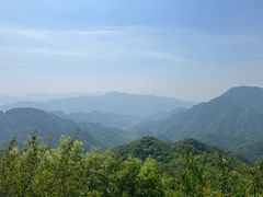 -大岭沟猕猴桃谷风景区