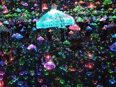 -迷斯伍德星空博物馆