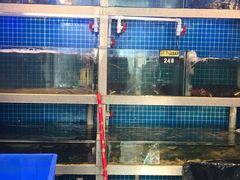 水产区-大厨的餐厅(曾厝垵总店)