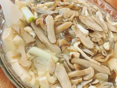 -天回镇何氏豆腐(总店)