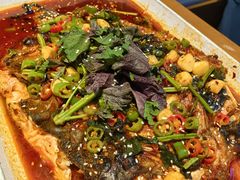 -海岛八号龙虾烧烤田鸡(蓝天路总店)